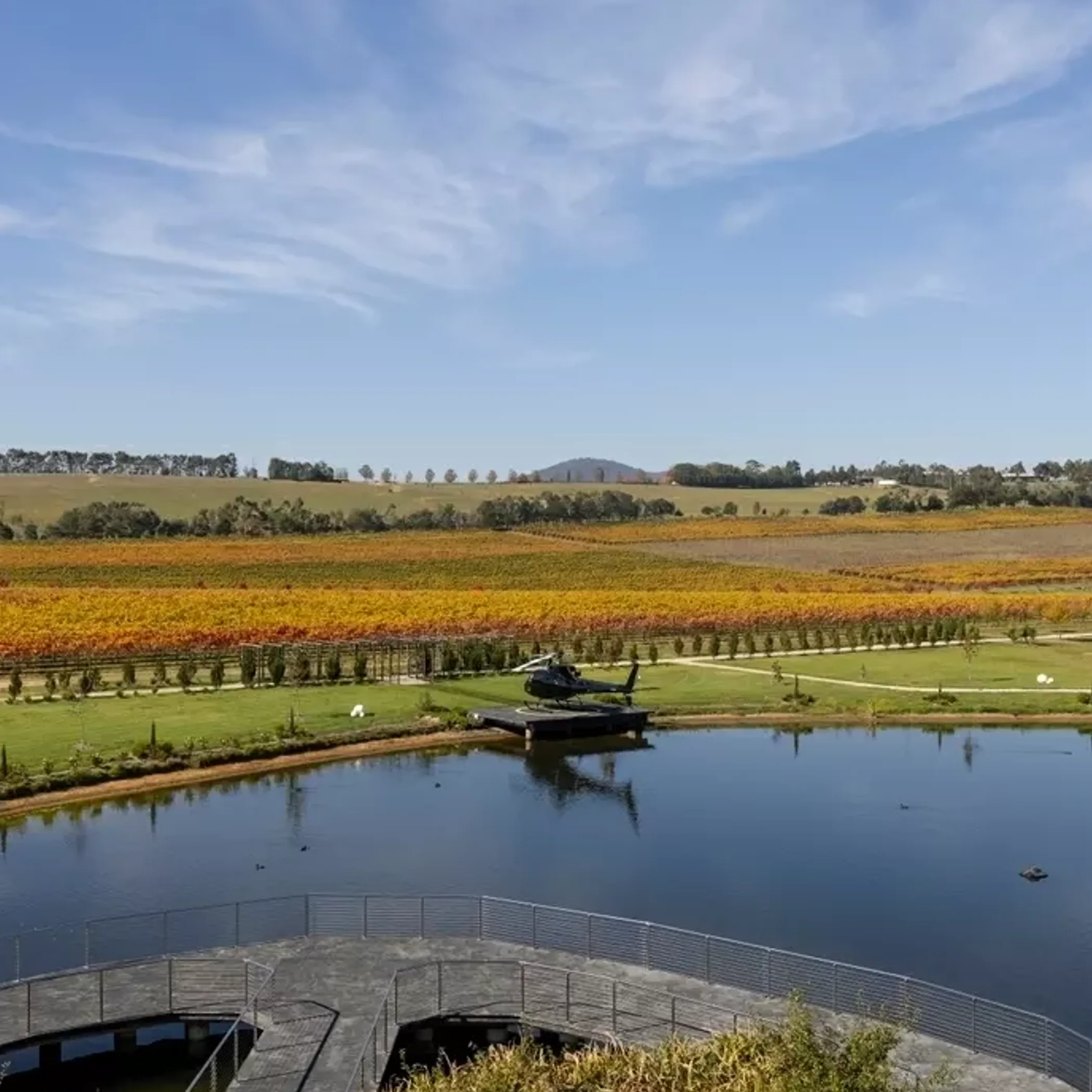 vineyard countryside with autumn colours