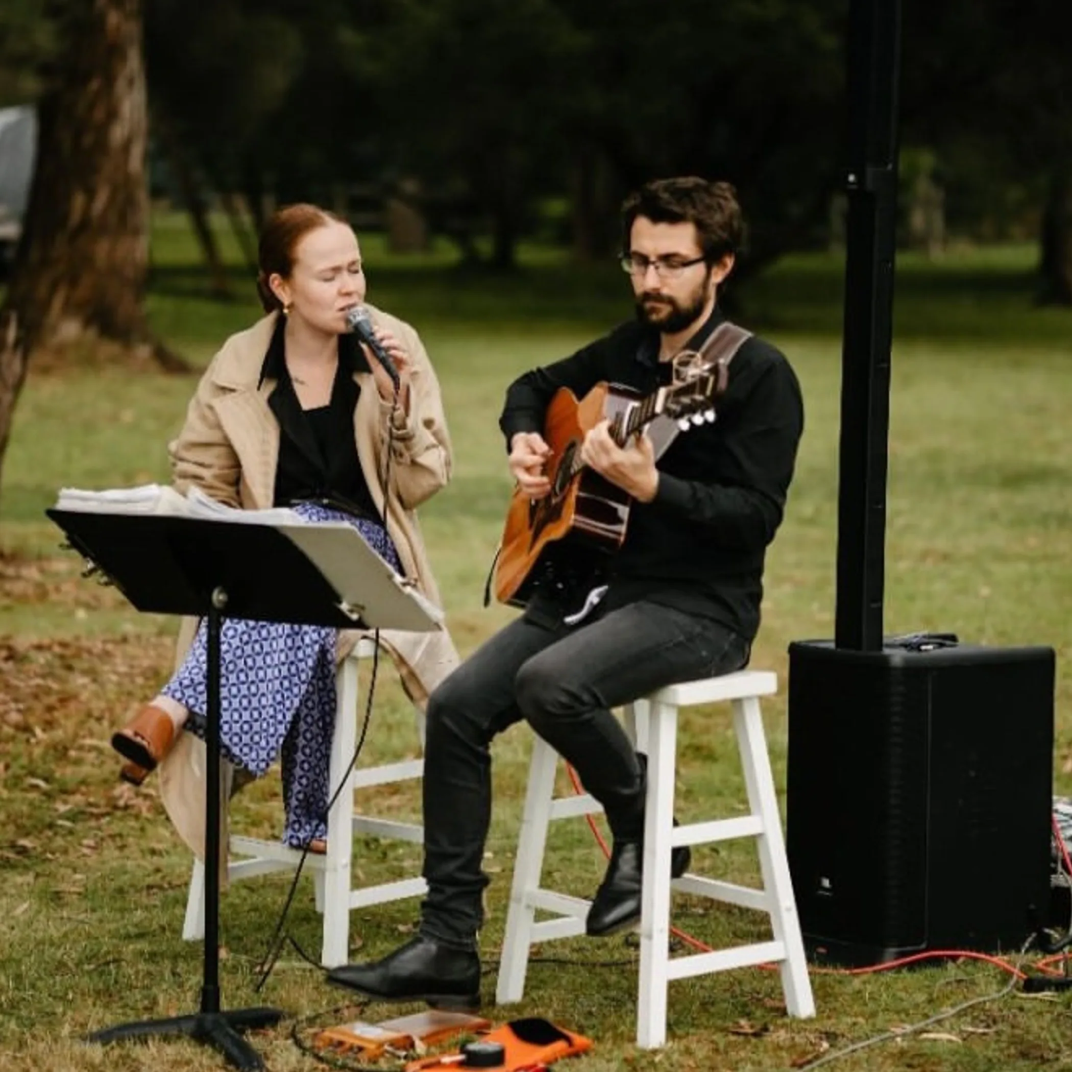 live acoustic music in grassy vineyard setting