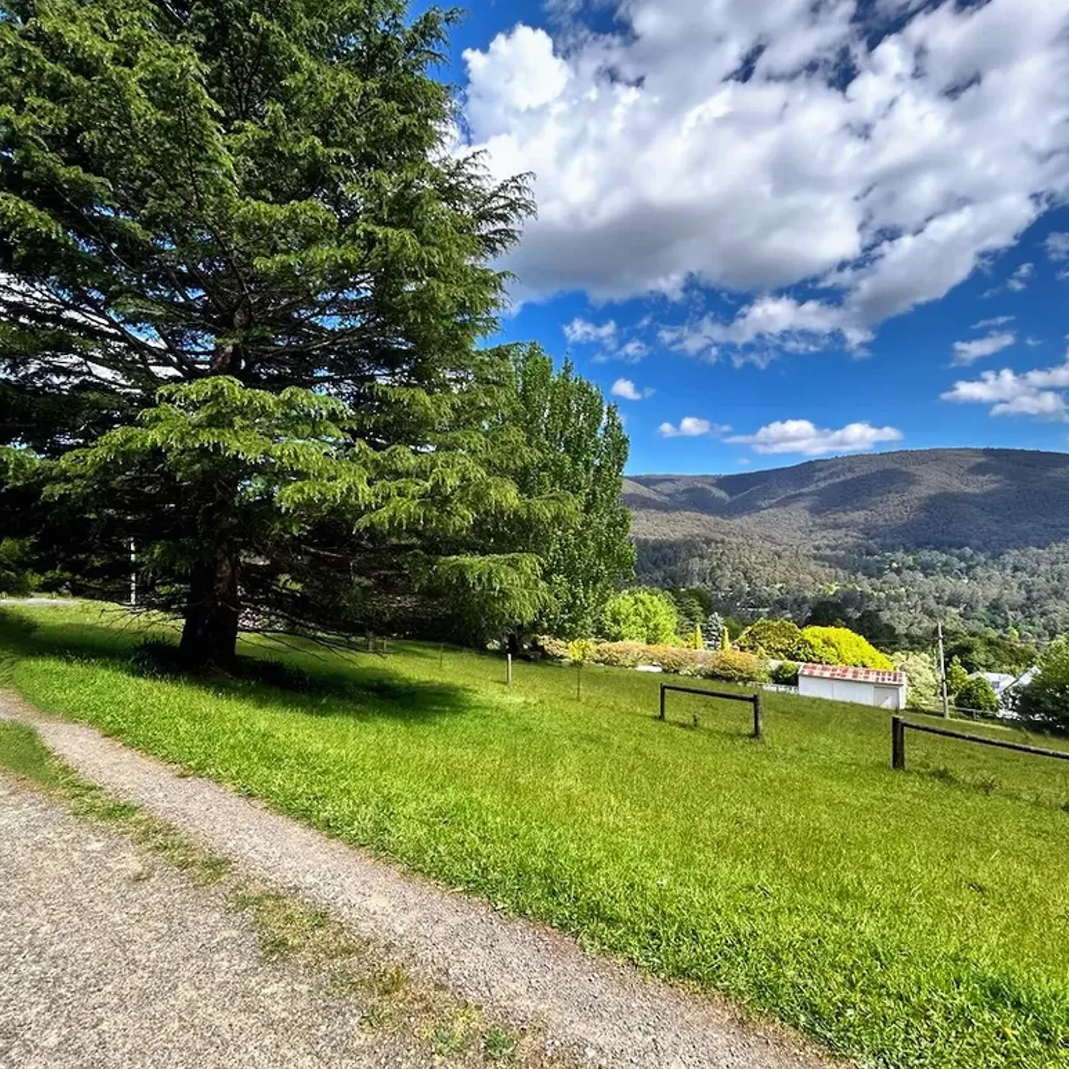 nature trail on grassy hillside with mountains