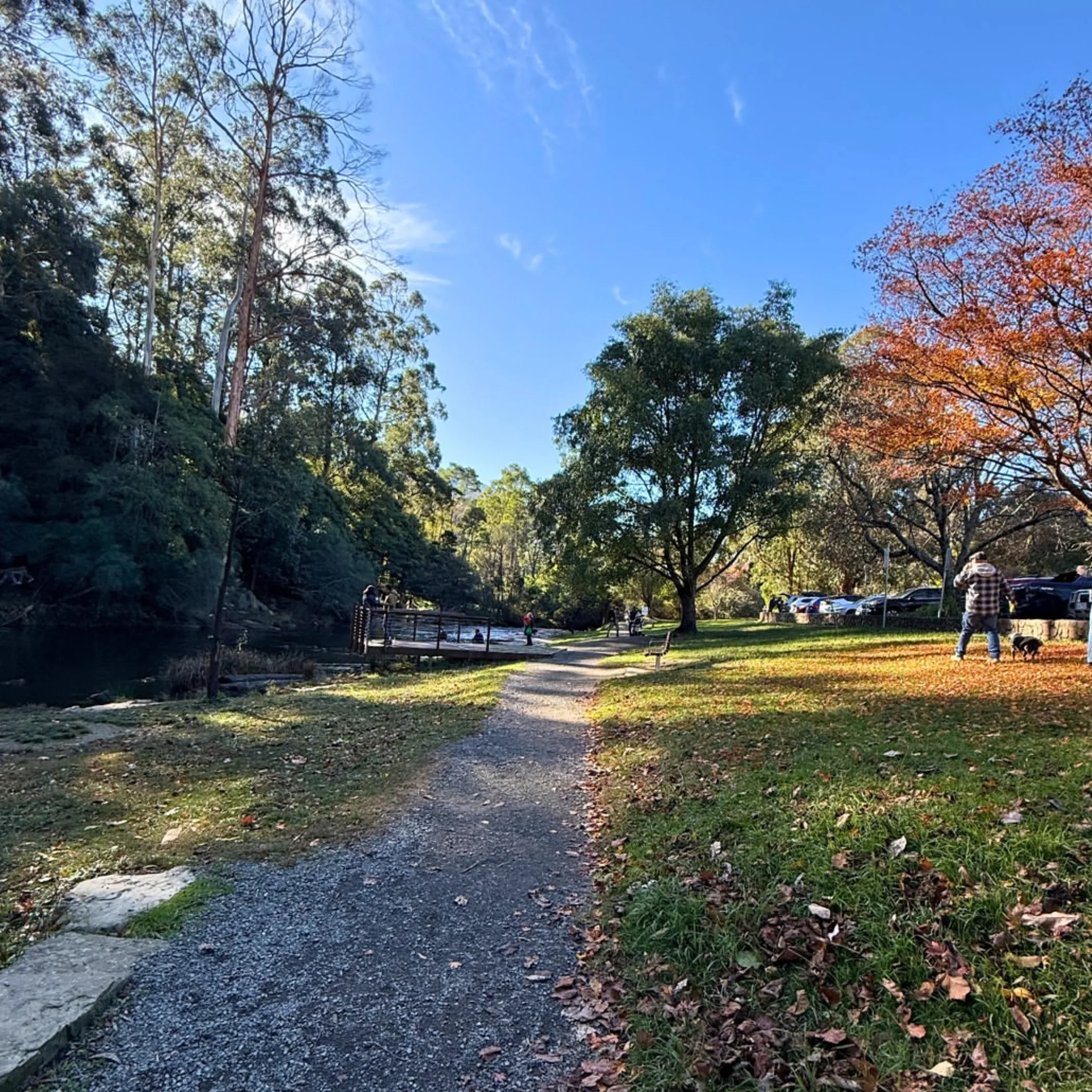 riverside walking trail with autumn foliage