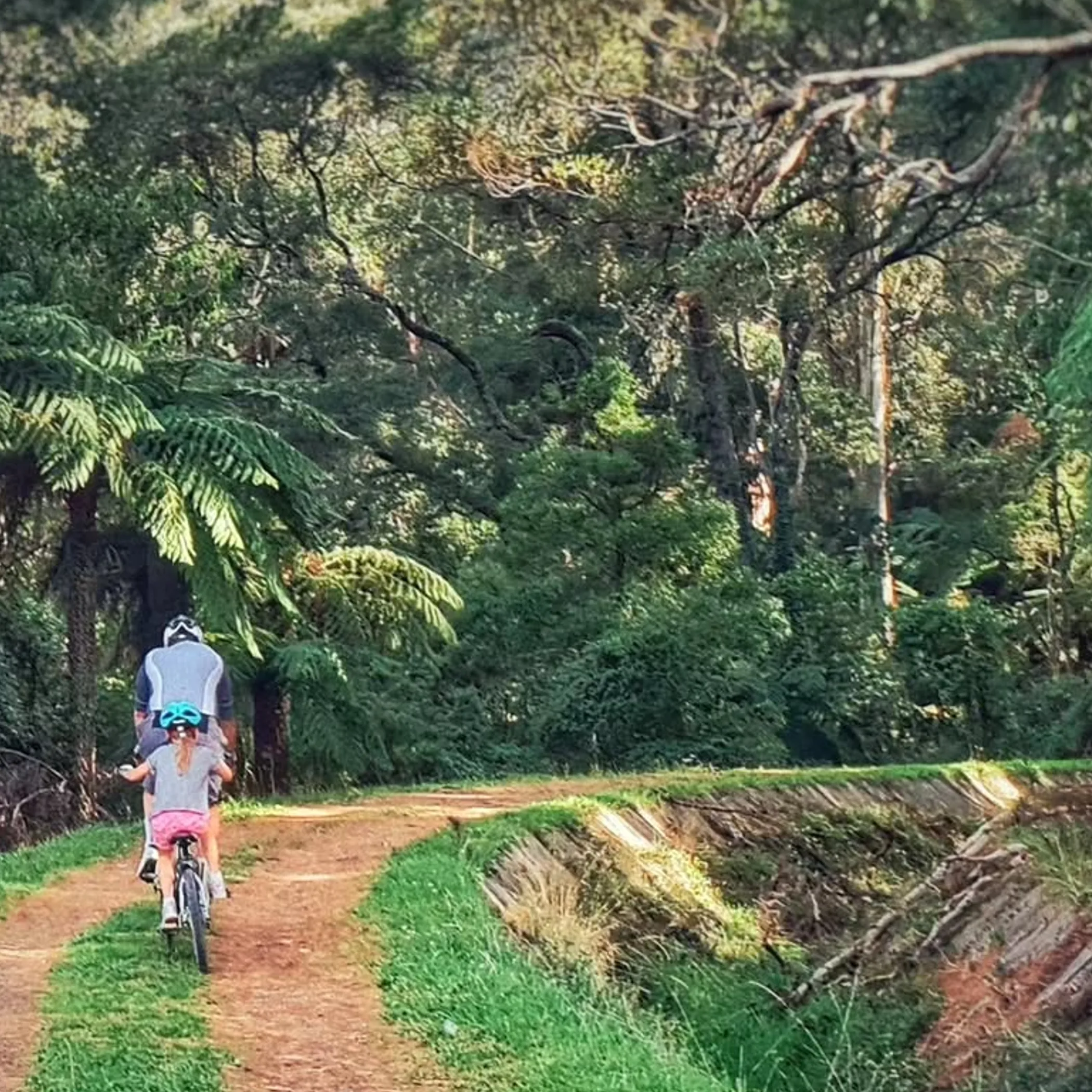 cycling on a lush nature trail