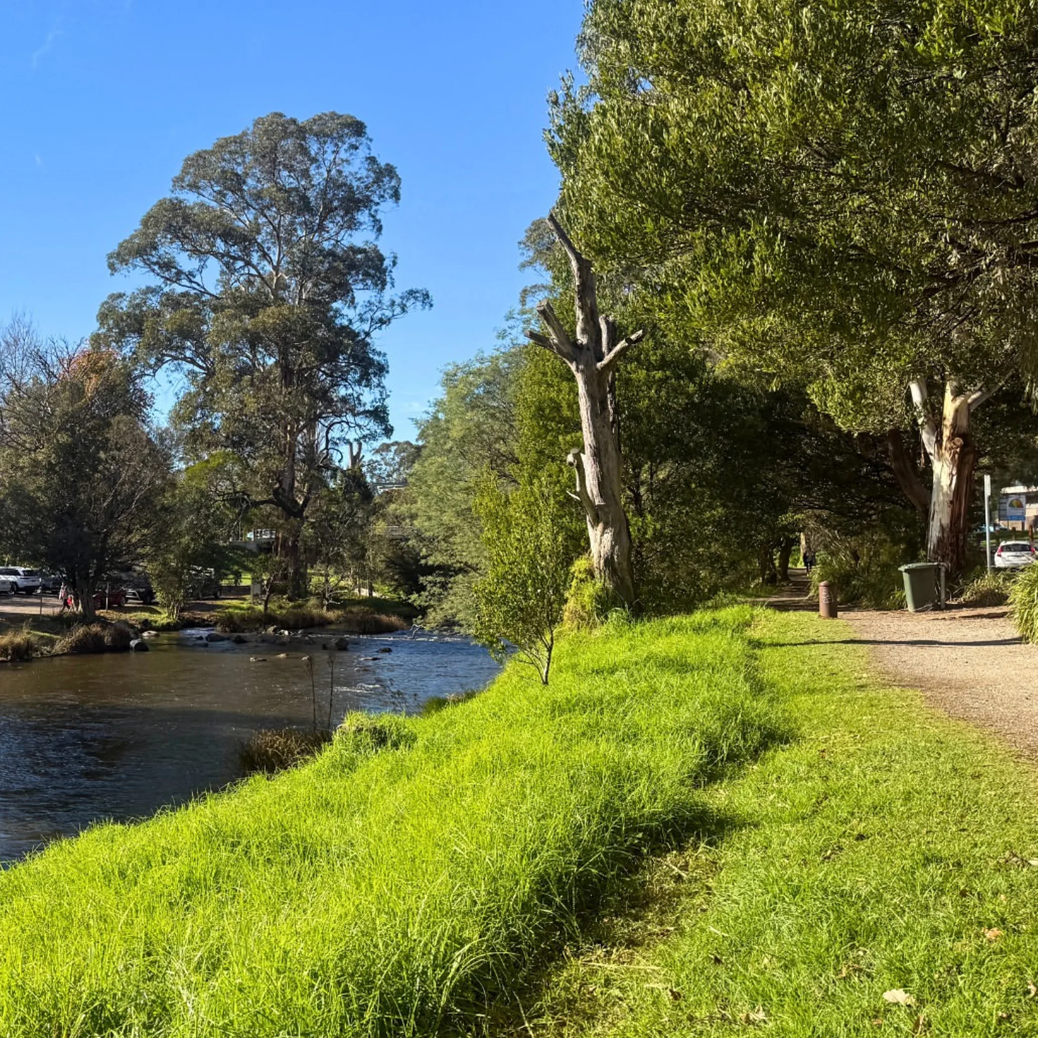 scenic riverside walking trail and lush nature