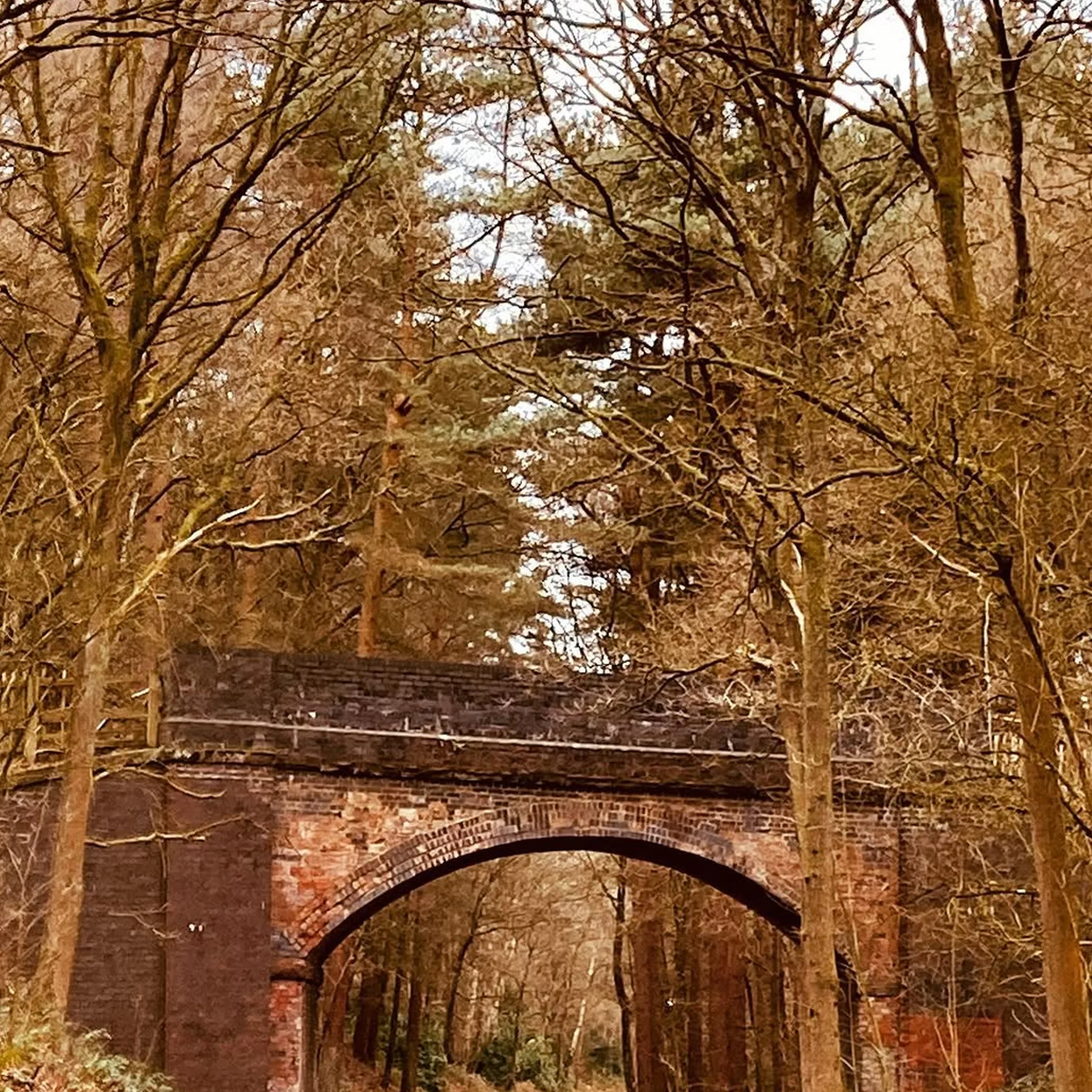 scenic nature walk with historic bridge